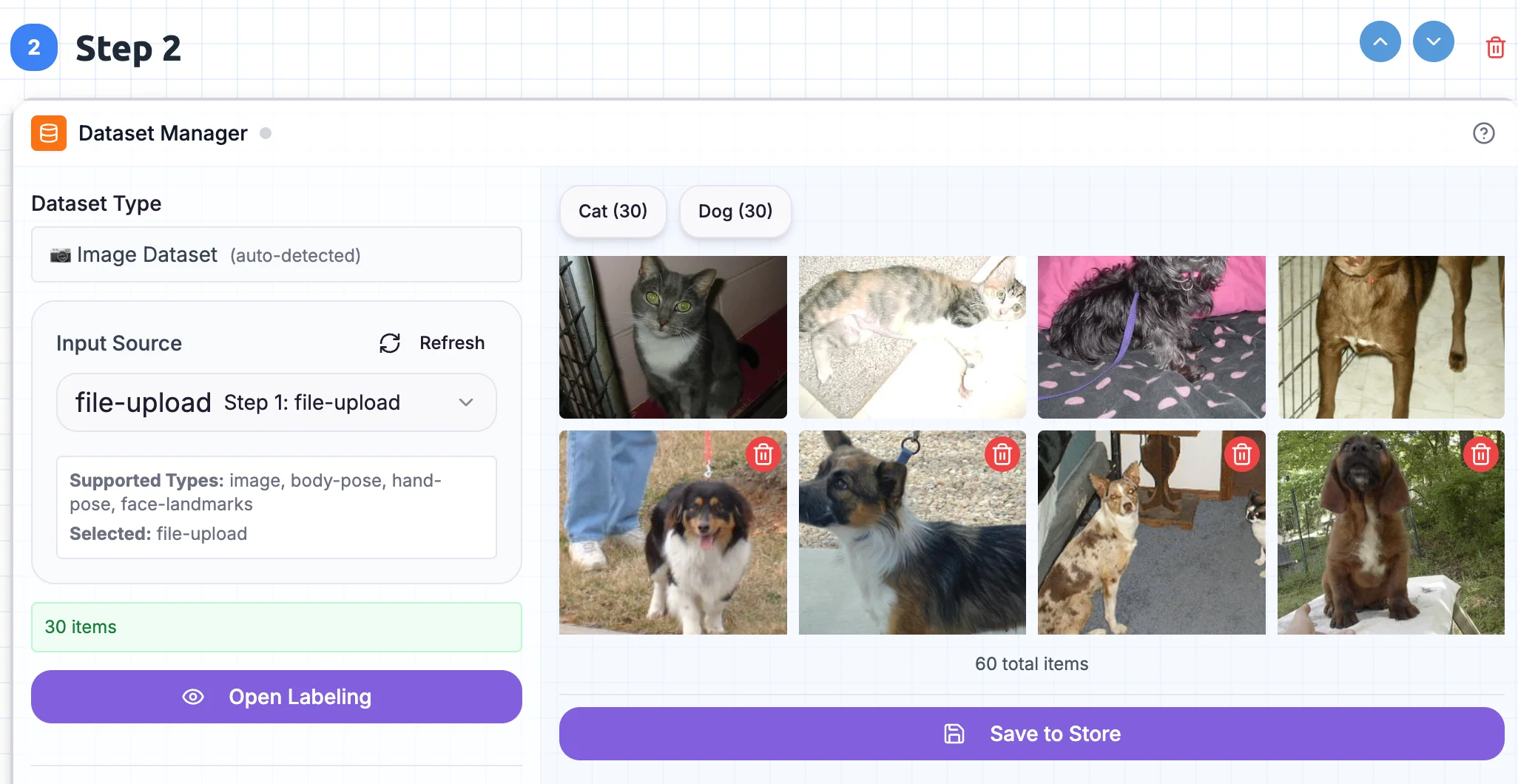 Dataset Manager showing labeled cat and dog images organized by category