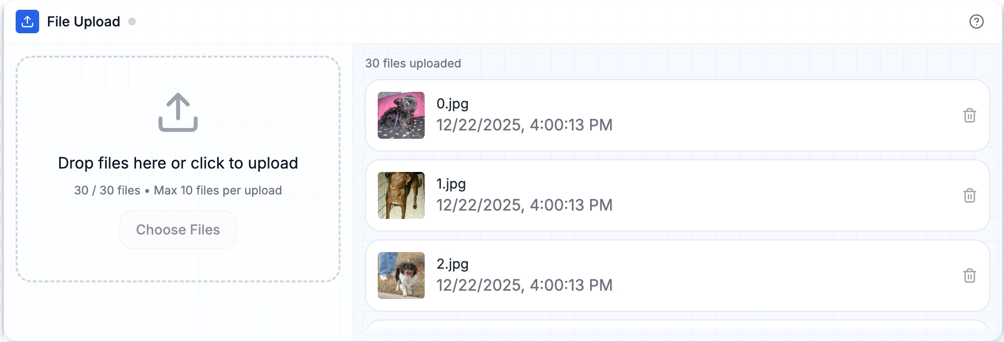 File Upload block showing uploaded cat and dog images